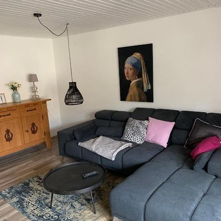 Ferienwohnung Lara Ludwigswinkel المظهر الخارجي الصورة