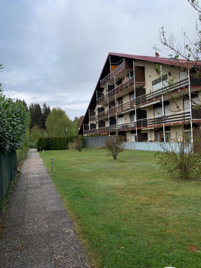 Ferienwohnung Lara Ludwigswinkel المظهر الخارجي الصورة